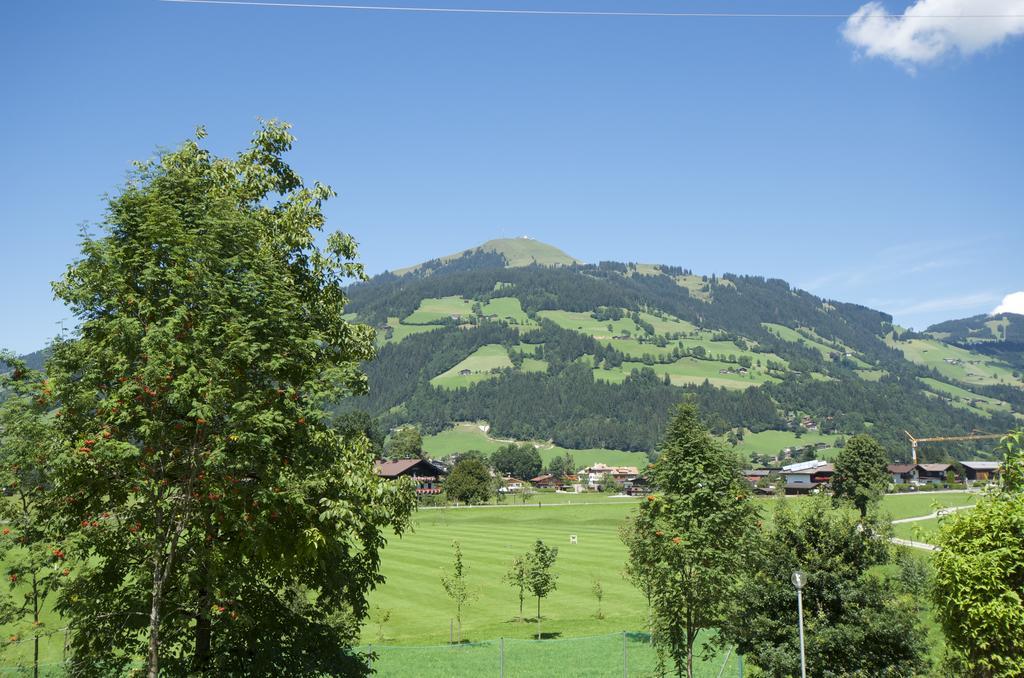 Dreilaenderhaus Apartment Westendorf Phòng bức ảnh